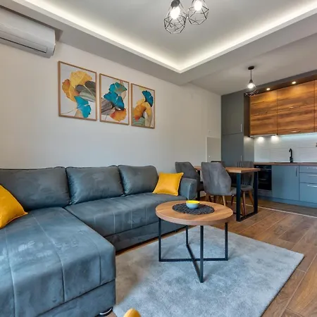 Contigo - Vrnjacka Promenada *