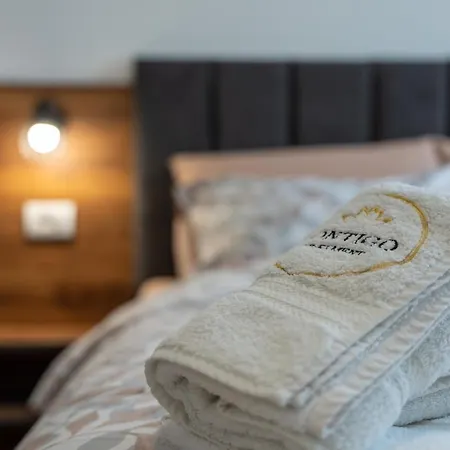 Apartment Contigo - Vrnjacka Promenada